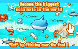 Survive Mola Mola Wikia .